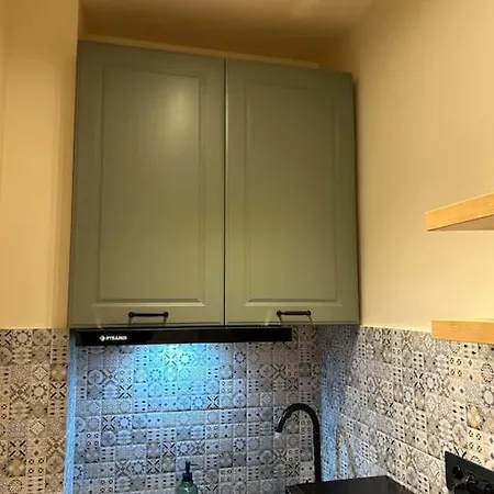 Apartment Alea Central Studio Art Museum Craiova
