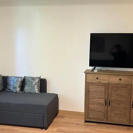 Apartment Alea Central Studio Art Museum Craiova